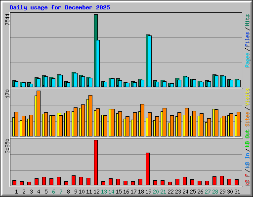 Daily usage for December 2025