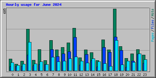 Hourly usage for June 2024