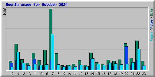 Hourly usage for October 2024