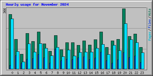 Hourly usage for November 2024