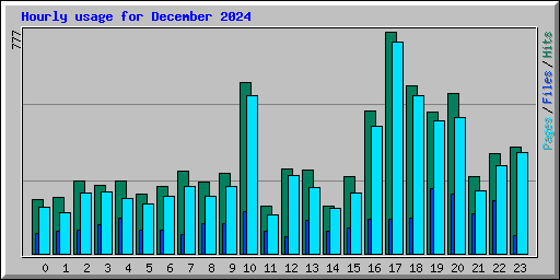 Hourly usage for December 2024