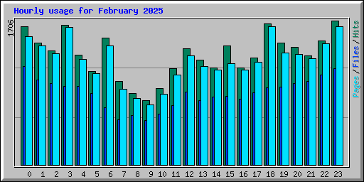 Hourly usage for February 2025