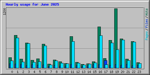 Hourly usage for June 2025