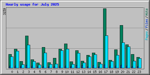 Hourly usage for July 2025