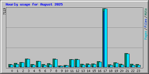 Hourly usage for August 2025