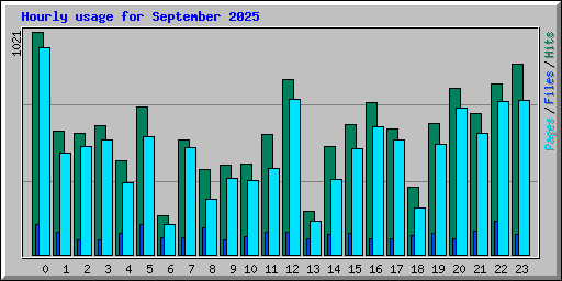 Hourly usage for September 2025