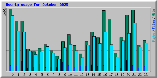 Hourly usage for October 2025
