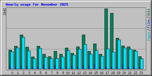 Hourly usage for November 2025