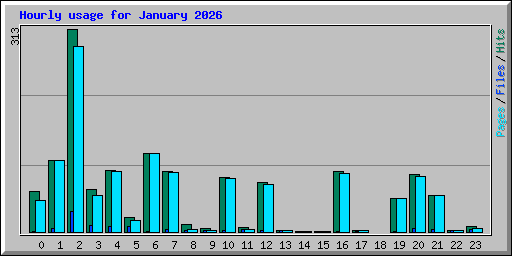 Hourly usage for January 2026