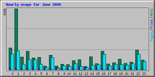 Hourly usage for June 2026