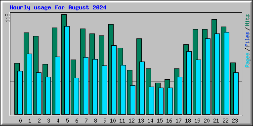 Hourly usage for August 2024