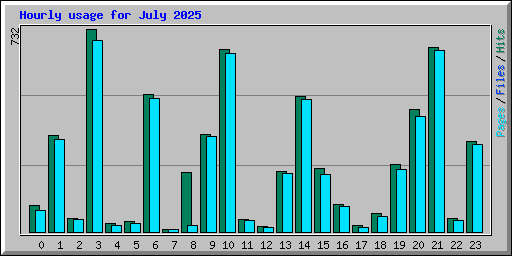 Hourly usage for July 2025