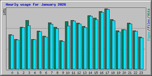 Hourly usage for January 2026