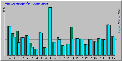 Hourly usage for June 2026