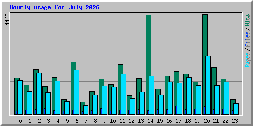 Hourly usage for July 2026